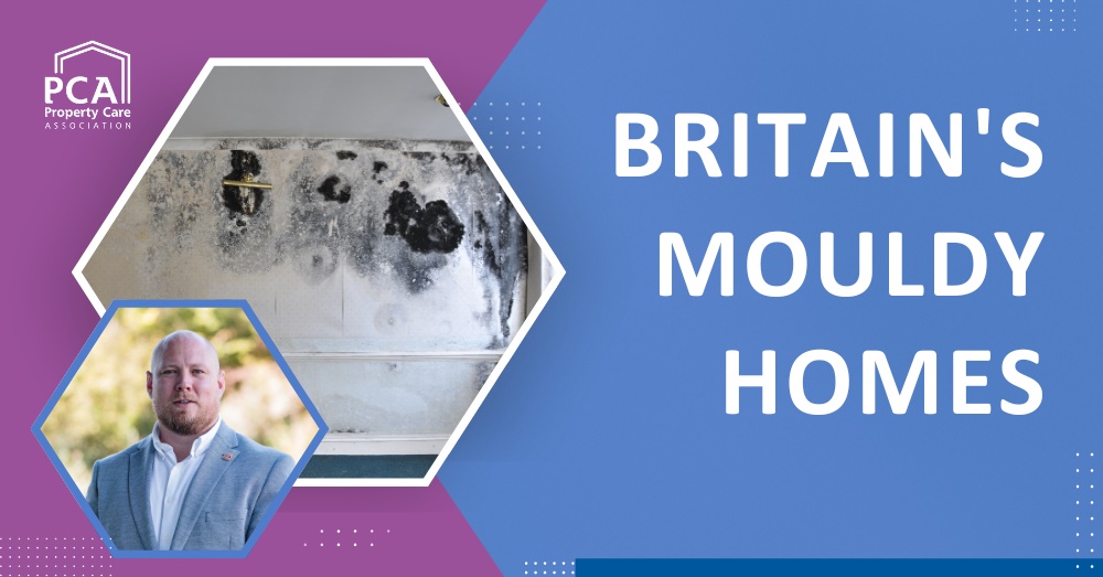 Britain's Mouldy Homes